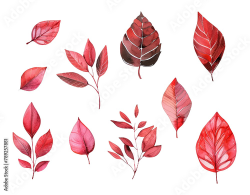 Watercolor set of red leaves on a white background. Autumn style  botanical illustration  print for wallpaper  print  textiles and backdrops.
