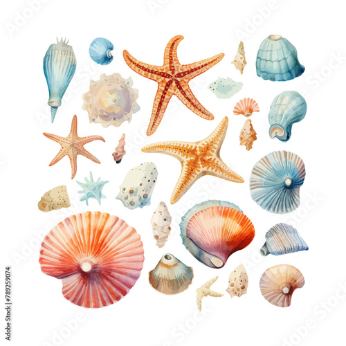 Watercolor Sea Shells and Starfish Collection. Vector illustration design.