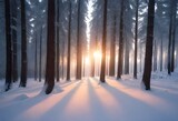 Snow-covered forest with tall trees and sunlight streaming through the trunks at sunset