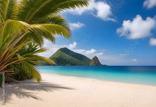 Palm tree on a tropical beach with clear blue sky and turquoise ocean water