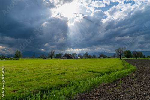 dramatic clouds over the valley of Rhein with sun rays through the clouds. blooming meadow with single tree in Dornbirn  Vorarlberg  with mountains of Switzerland in background