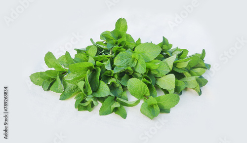 fresh green mint leaves closeup