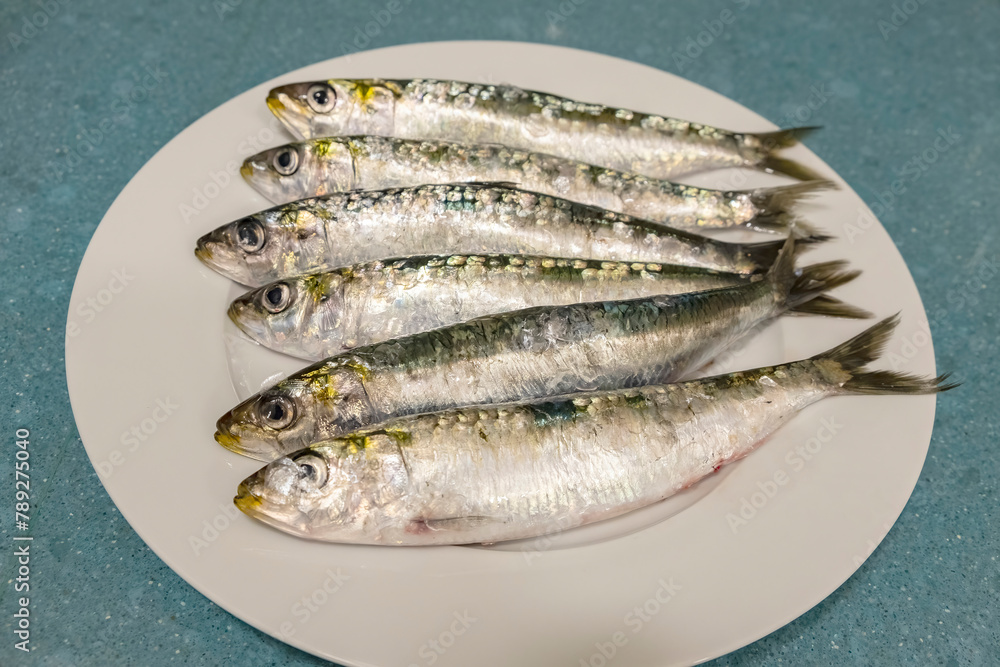 Half a dozen appetizing raw and fresh sardines from the Atlantic Ocean, on a plate. Purchased at the market and from a recently arrived ship. Fishing industry. Healthy and quality foods. Half a dozen appetizing raw and fresh sardines from the Atlantic Ocean, on a plate. Purchased at the market and from a recently arrived ship. Fishing industry. Healthy and quality foods.