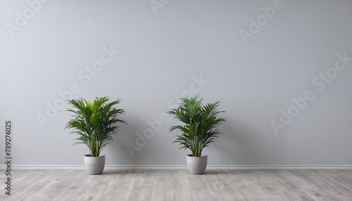 Light gray wall and wood floor: ideal for product display with a focus on potted plants and ample advertising space.