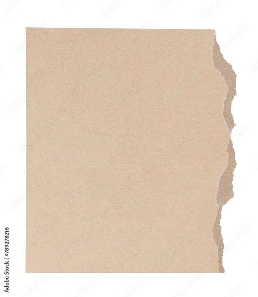 Handmade torn paper craft png in beige earth tone