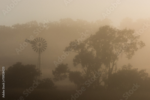 foggy fog country rural morning, windmill and gum eucalyptus trees, outback Queensland, Australia