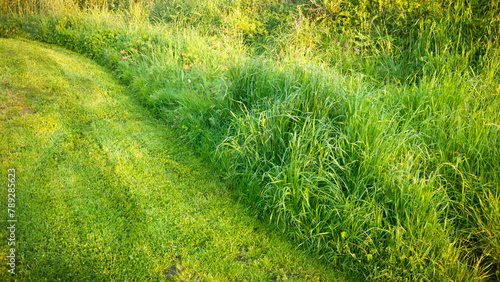 Prado de hierba recién cortada