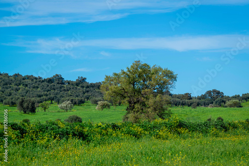 Paysage de Toscane au printemps