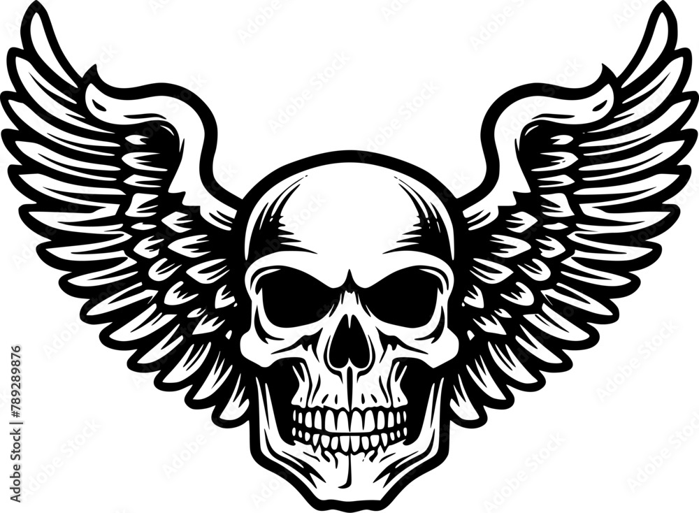 Skull | Black and White Vector illustration Skull | Black and White Vector illustration