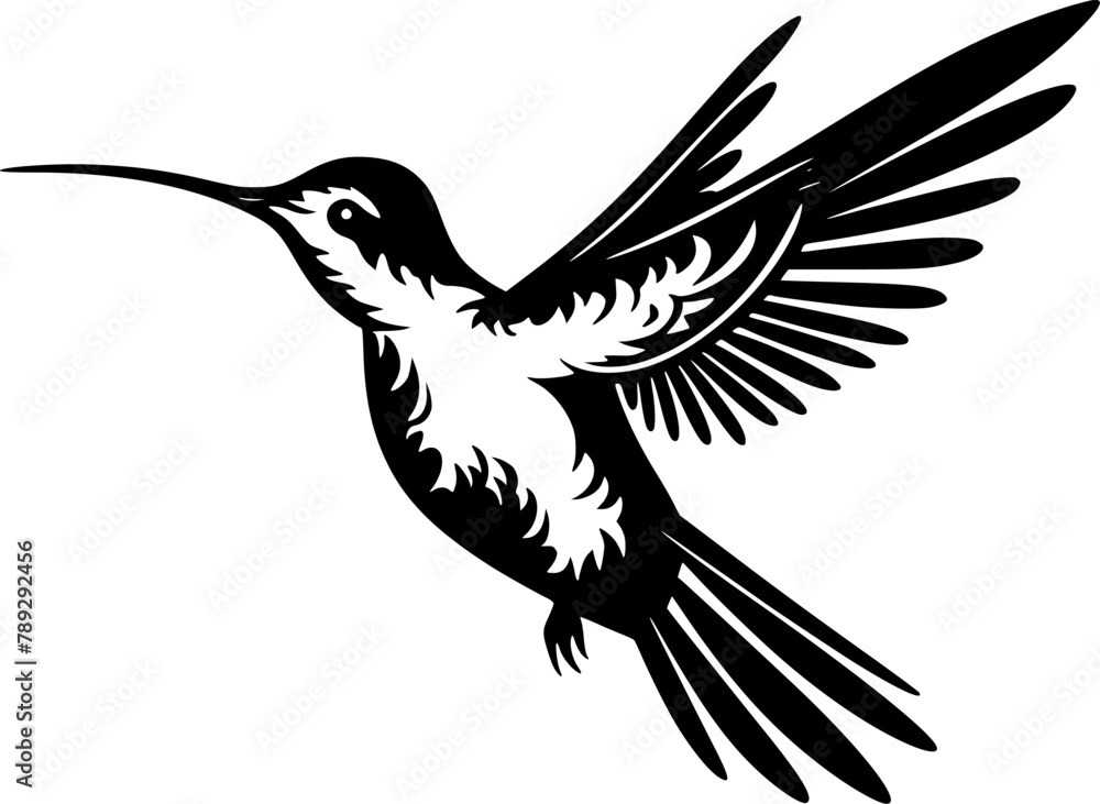 Hummingbird - Black and White Isolated Icon - Vector illustration Hummingbird - Black and White Isolated Icon - Vector illustration