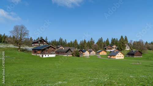 Panorama with wooden holiday houses in front of the forest, on the hill there is a beautiful house in spring time, green meadow with seat, wooden bench and sandpit, sand playground