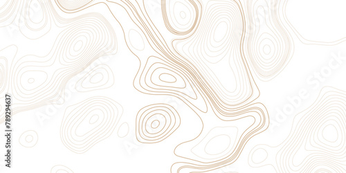 Topographic map contours in hilly or mountainous terrain. Map line of topography. Vector abstract topographic map concept with space for your copy.
