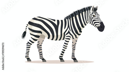 Zebra icon. Cute safari animal with black stripes 