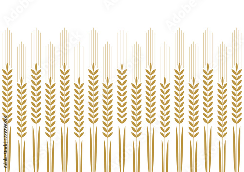 Wheat pattern wallpaper. oat symbol. free space for text. rice sign. Rice pattern wallpaper.