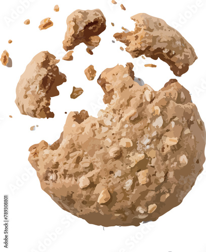 Crumbs integral whole wheat biscuit with oatmeal, cookie flying, isolated on white, top view, clipping path
