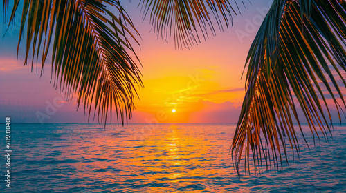 Sunset on the beach with tropical palm tree leaves, calm ocean horizon © Maximilien