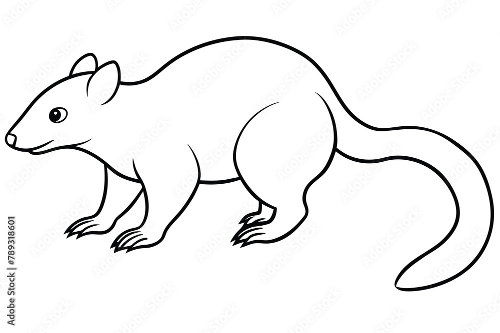 Silky anteater line art vector illustration Silky anteater line art vector illustration