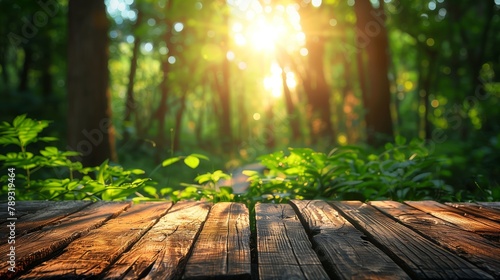 Sunlight Streaming Through Forest onto Wooden Planks