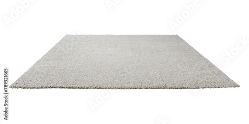 Fotografie Gray fluffy floor carpet design element