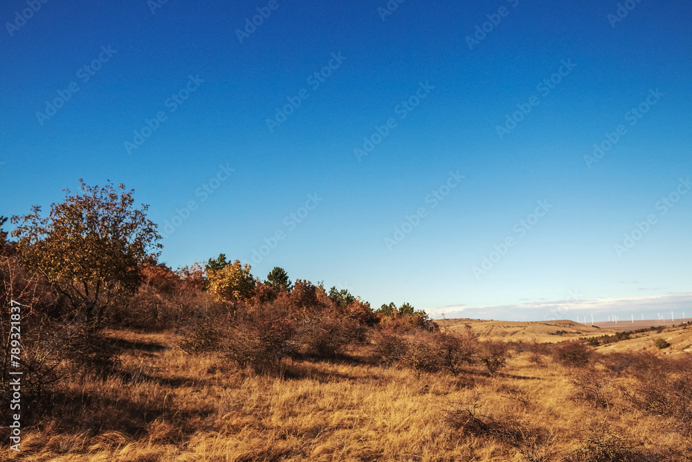 Macro photography - Landscapes - Europe, Romania, Constanta region, 2023 year Macro photography - Landscapes - Europe, Romania, Constanta region, 2023 year