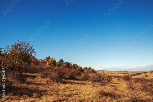 Macro photography  -  Landscapes  - Europe  Romania  Constanta region  2023 year