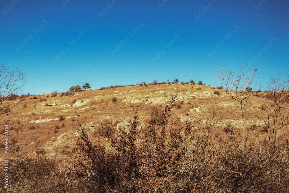 Fototapeta premium Macro photography - Landscapes - Europe, Romania, Constanta region, 2023 year