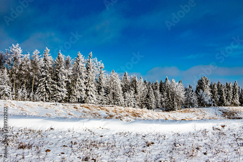 Winter drive through a winter wonderland, Mountain View County, Alberta, Canada