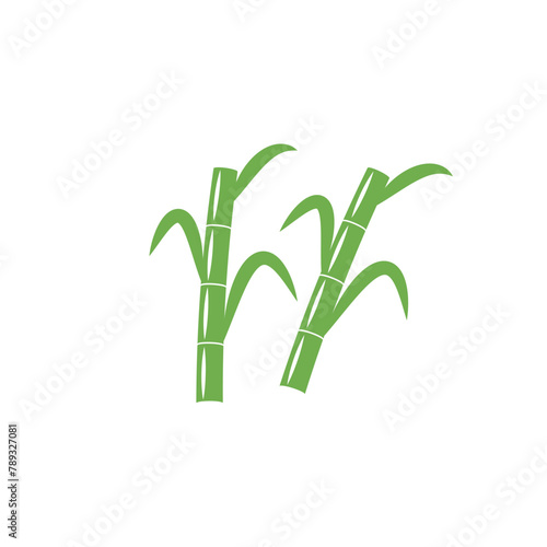 Fototapeta Naklejka Na Ścianę i Meble -  Sugarcane logo vector template symbol design