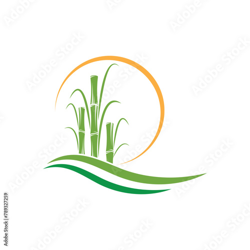 Sugarcane logo vector template symbol design