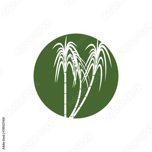 Sugarcane logo vector template symbol design