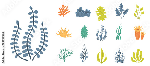 Marine plants and aquatic algae set isolated on white background. Collection of seaweeds, underwater sea plants, shells. Ocean corals silhouettes. Vector illustration © Little Monster 2070