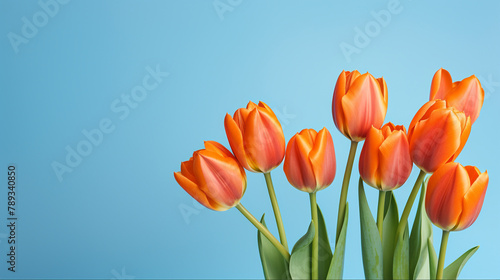 orange tulips on a blue background  natural lighting   reated with Generative Ai