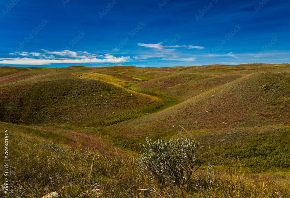 Buttes in Grasslands National Park