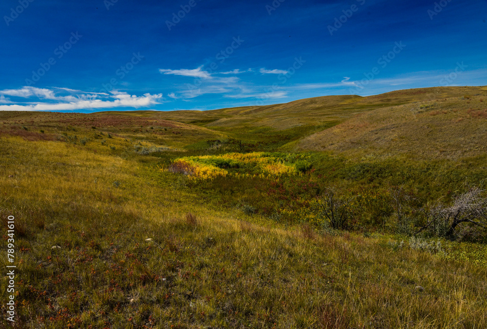 Landscape in Grasslands National Park