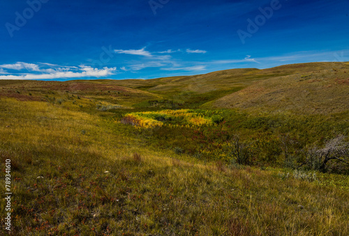 Landscape in Grasslands National Park