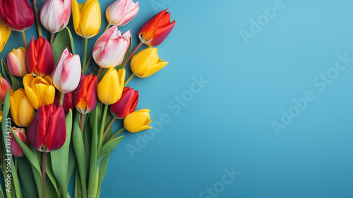 colorful tulip flowers on a blue background сreated with Generative Ai #789343235