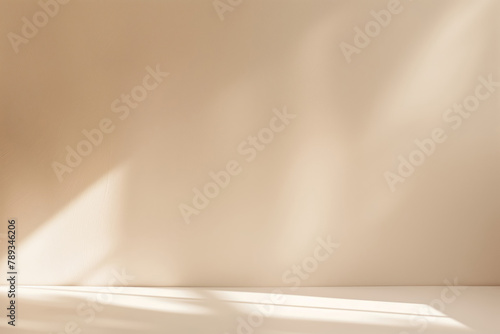 neutral empty background