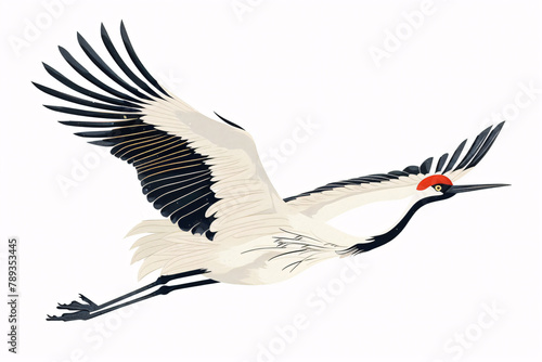 Elegant crane in flight with spread wings on a plain background