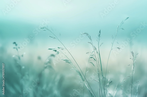 Ethereal Grass Blades with Dew in Soft Focus  Dreamy Blue Hues