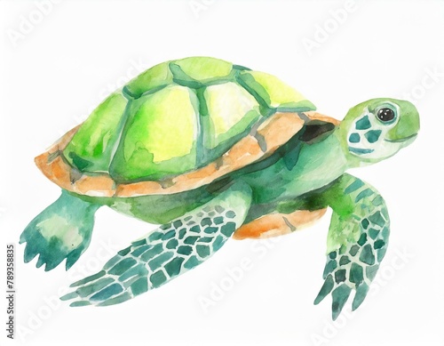 Zielony żółw morski ilustracja