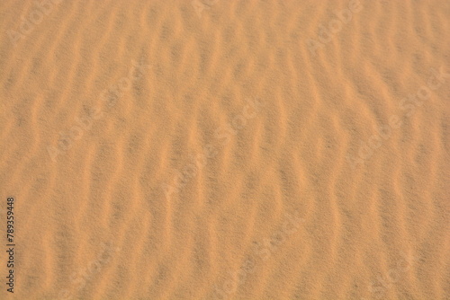 Sand surface in the desert with interwoven sand ripples