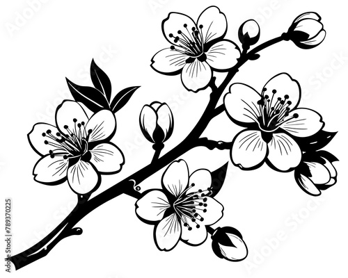 Black And White Flower Branch Ornament Vector photo