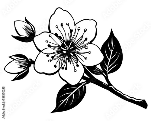 Black And White Flower Branch Ornament Vector photo