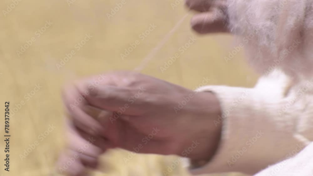 indigenous woman spinning alpaca fiber on an ancestral spinning wheel by hand in the Andes mountain range of Peru and Bolivia indigenous woman spinning alpaca fiber on an ancestral spinning wheel by hand in the Andes mountain range of Peru and Bolivia