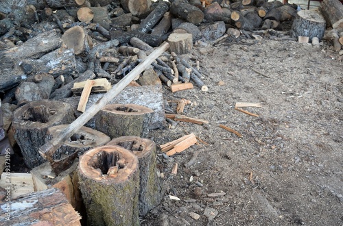 Chopping firewood. The process of harvesting firewood