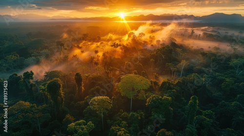 Sunrise Over Jungle Canopy: Stunning Aerial View of Dramatic Natural Beauty