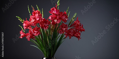 Rustic Red Gladiolus in a Vase. A tall  slender  red gladiolus flower  stands in a  vase on a wooden floor.