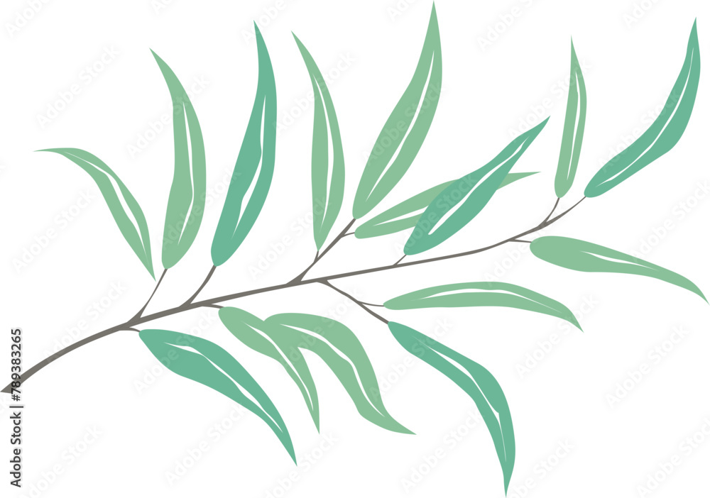 olive branch with leaves, vector drawing on a white background