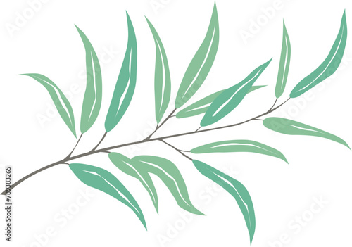 olive branch with leaves  vector drawing on a white background