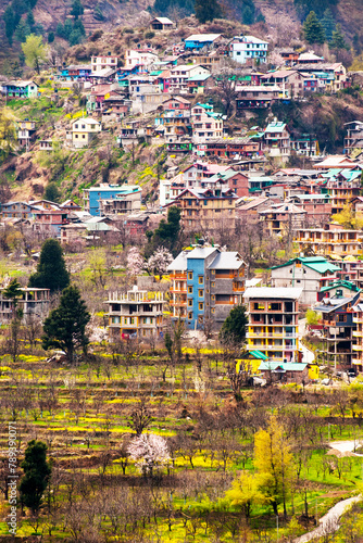 Spring in the Himalaya Village, India